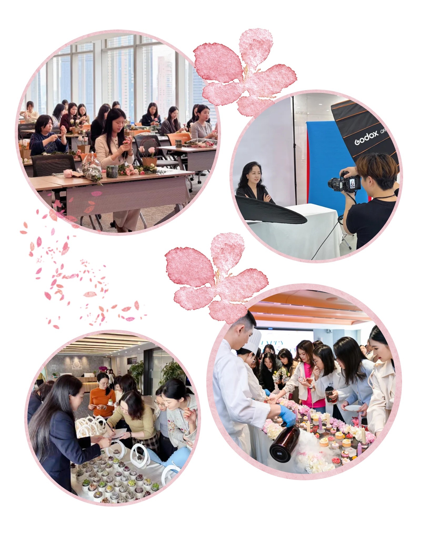 1773051935624080237.jpg 1773051935624080237.jpg